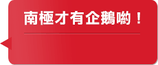 林義傑-專家提示