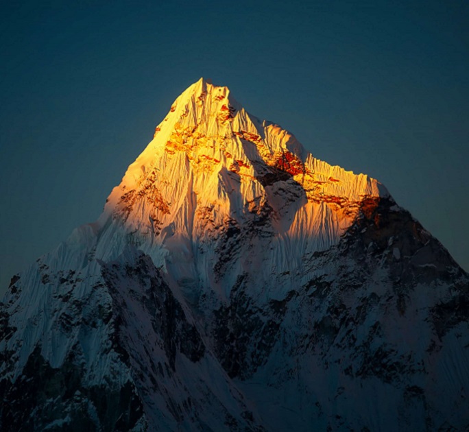 2026年第1季投資總監洞察