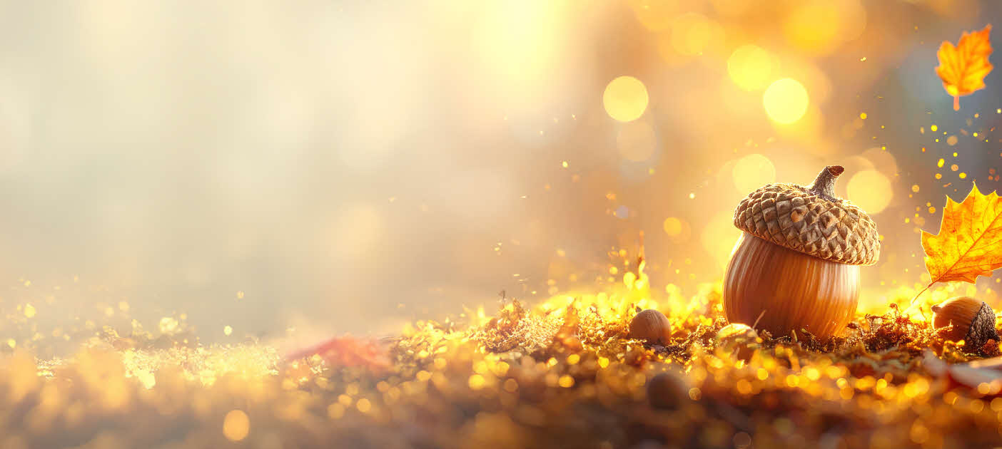 星展星榮利外幣定存 豐收金果利