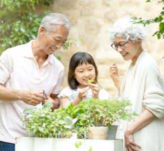 給即將或已退休的您──安心退休與財富傳承攻略