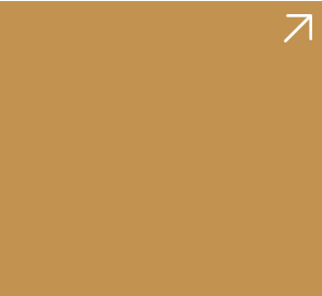 加入星展豐盛理財 