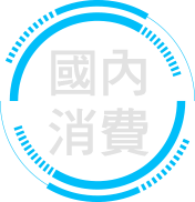 國內消費