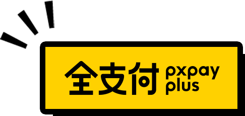 全支付